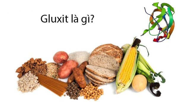 Gluxit là gì